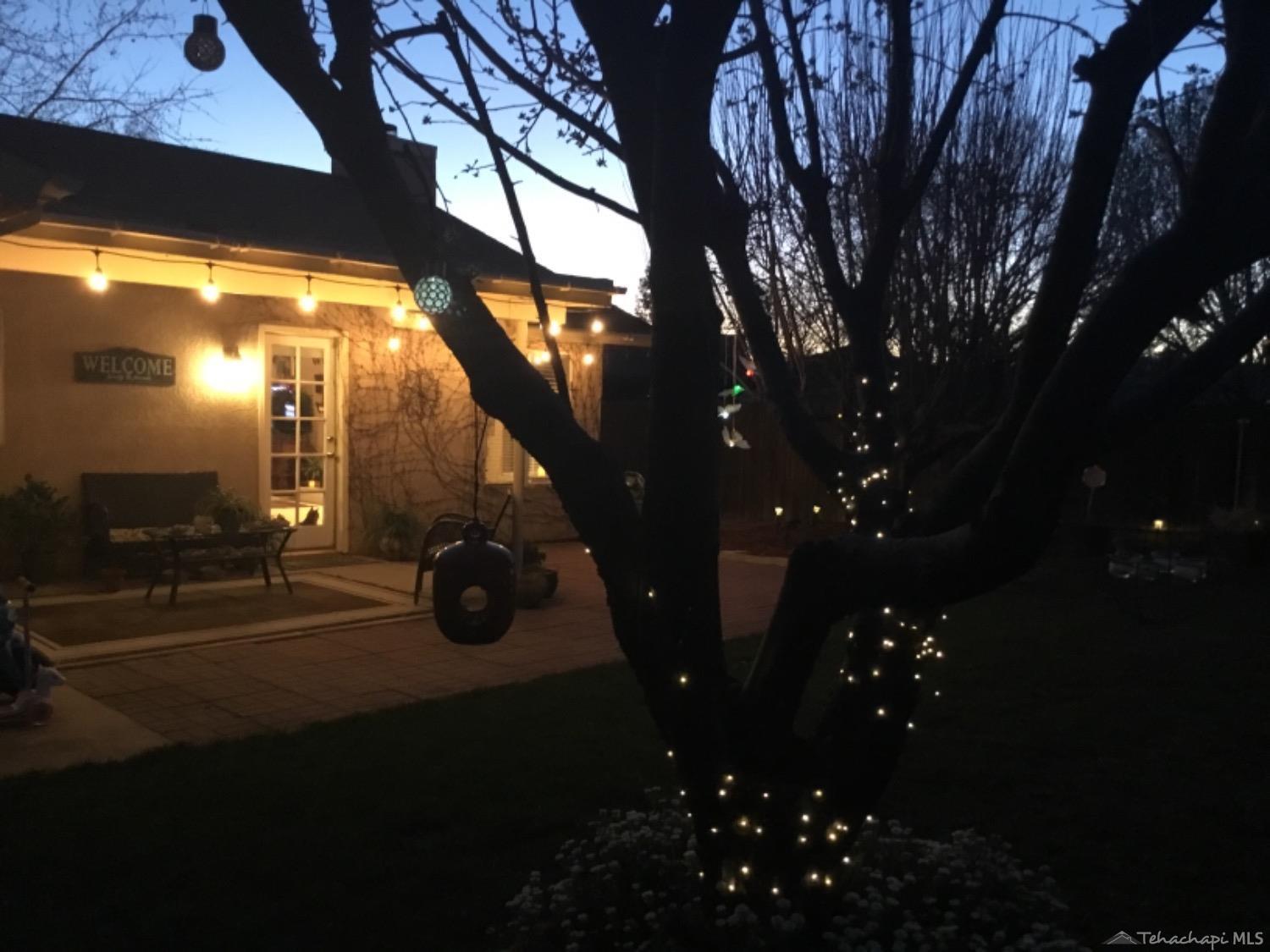 449 Apple Way Tehachapi, CA 93561 - Photo 23 of 26 back yard 5