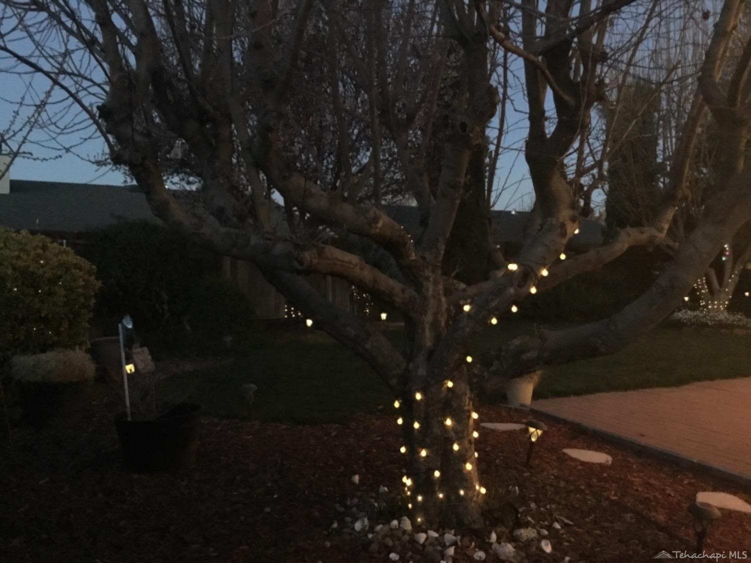 449 Apple Way Tehachapi, CA 93561 - Photo 24 of 26 back yard 6