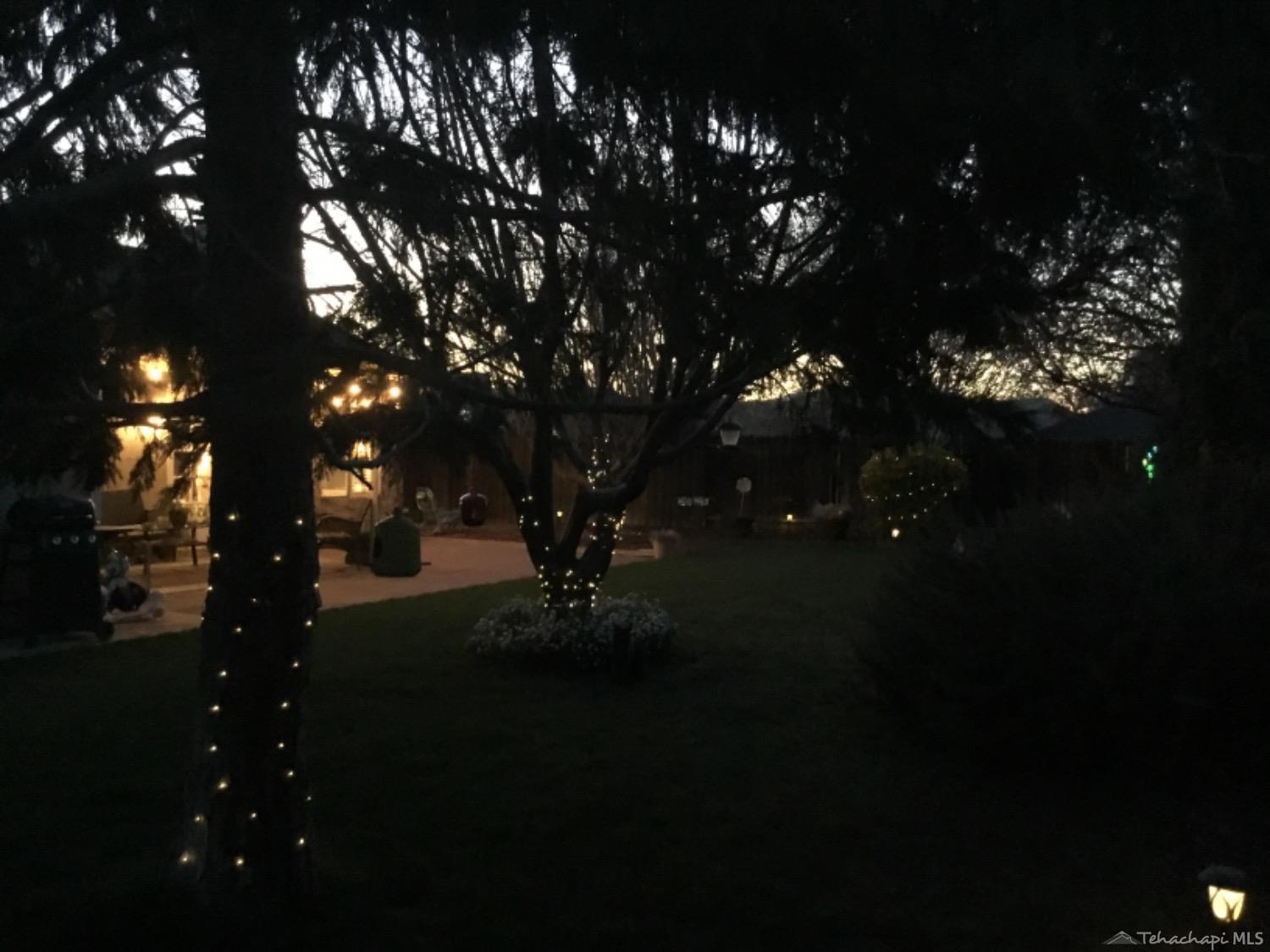 449 Apple Way Tehachapi, CA 93561 - Photo 26 of 26 back yard 8