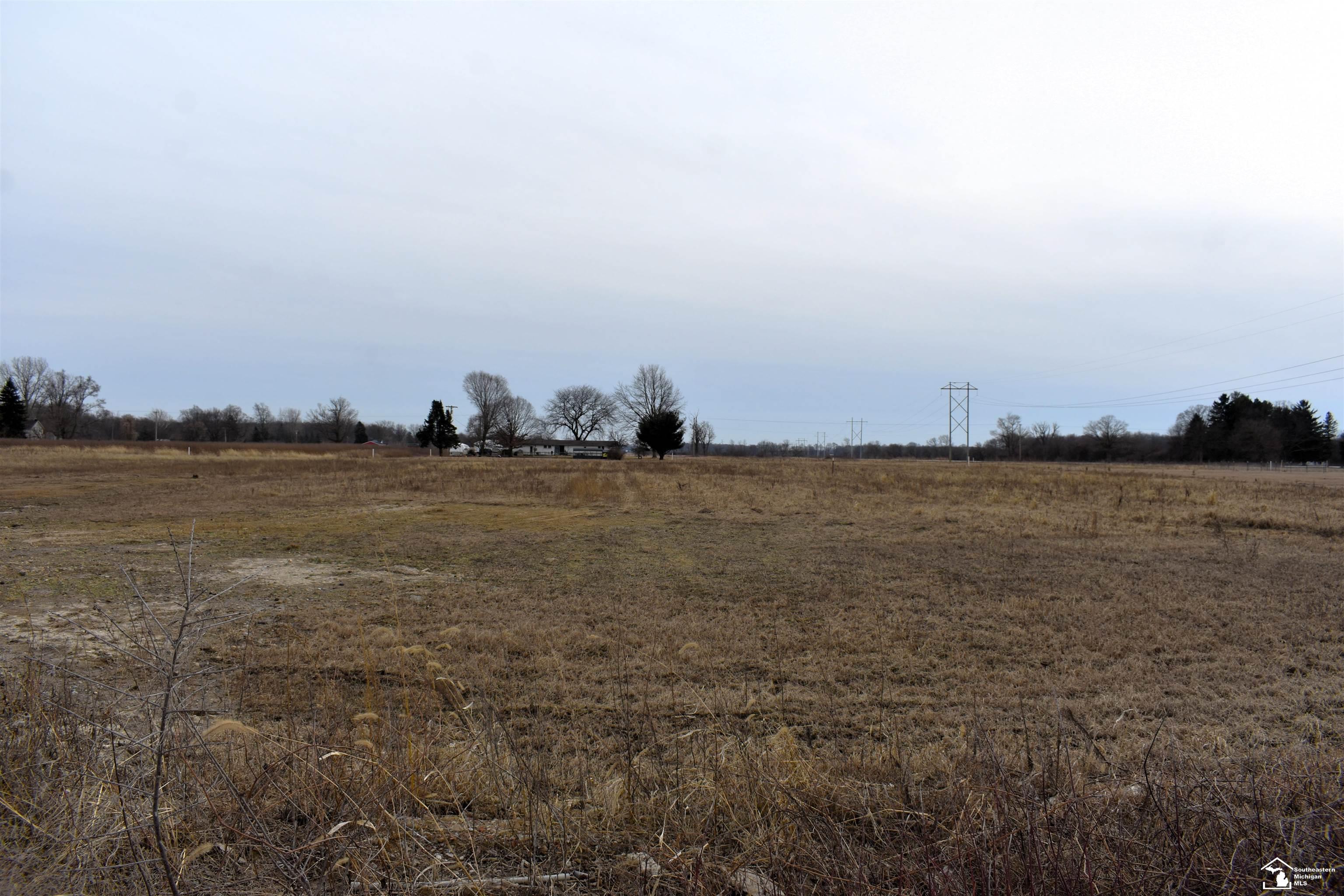 1 Allen Road Milan, MI 48160 - Photo 3 of 6