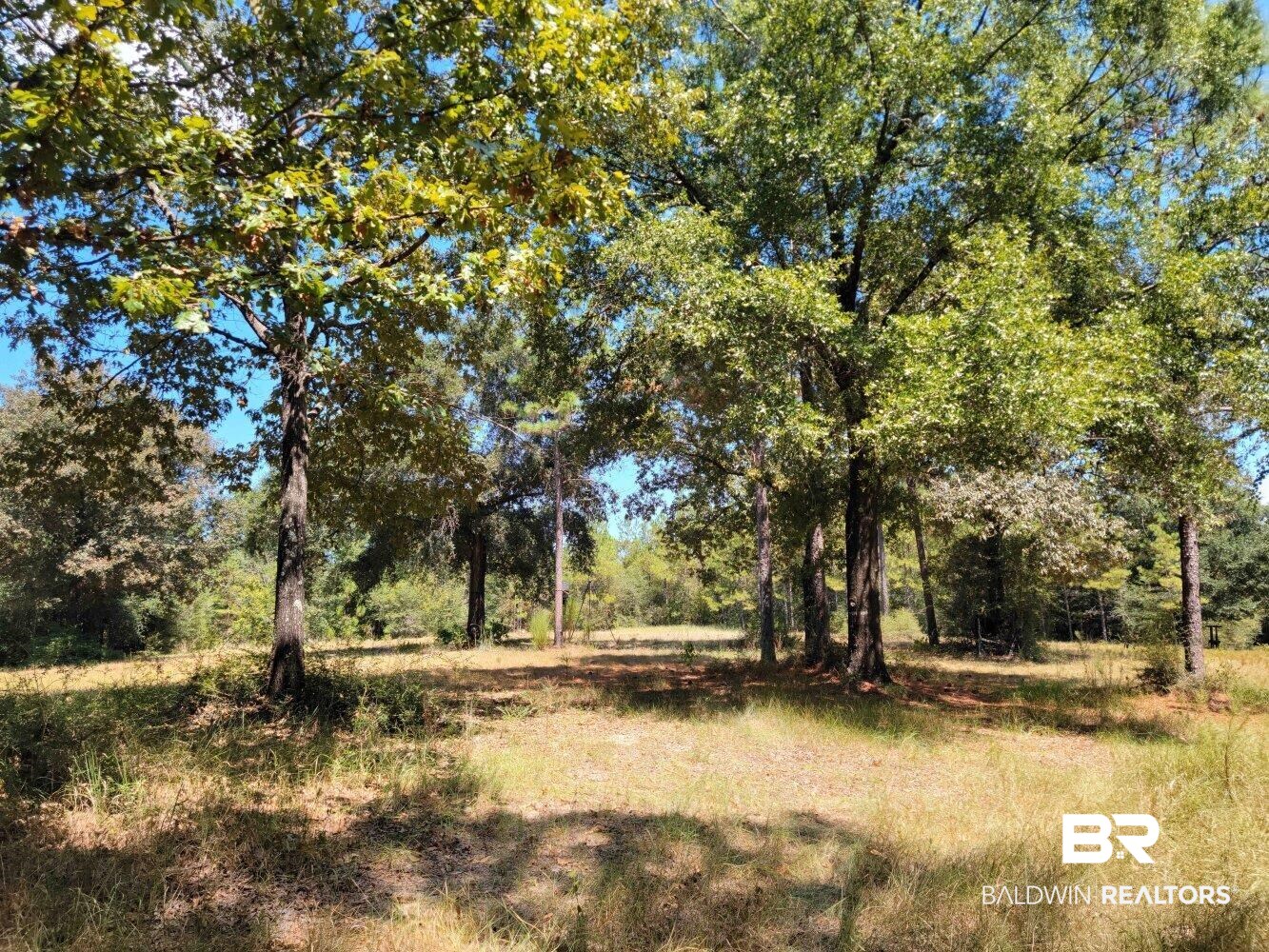 0 Howell Drive Mount Vernon, AL 36560 - Photo 44 of 50