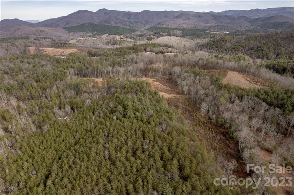 Lot 1 Smawley Road Bostic, NC 28018 - Photo 13 of 22 Gallery Image 13