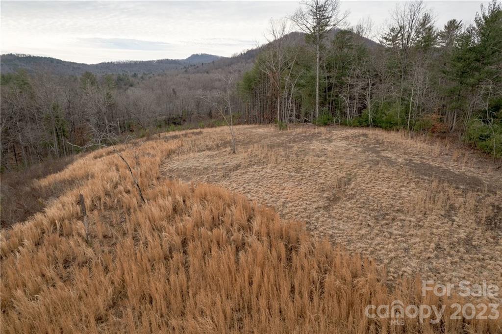 Lot 1 Smawley Road Bostic, NC 28018 - Photo 21 of 22 Gallery Image 21