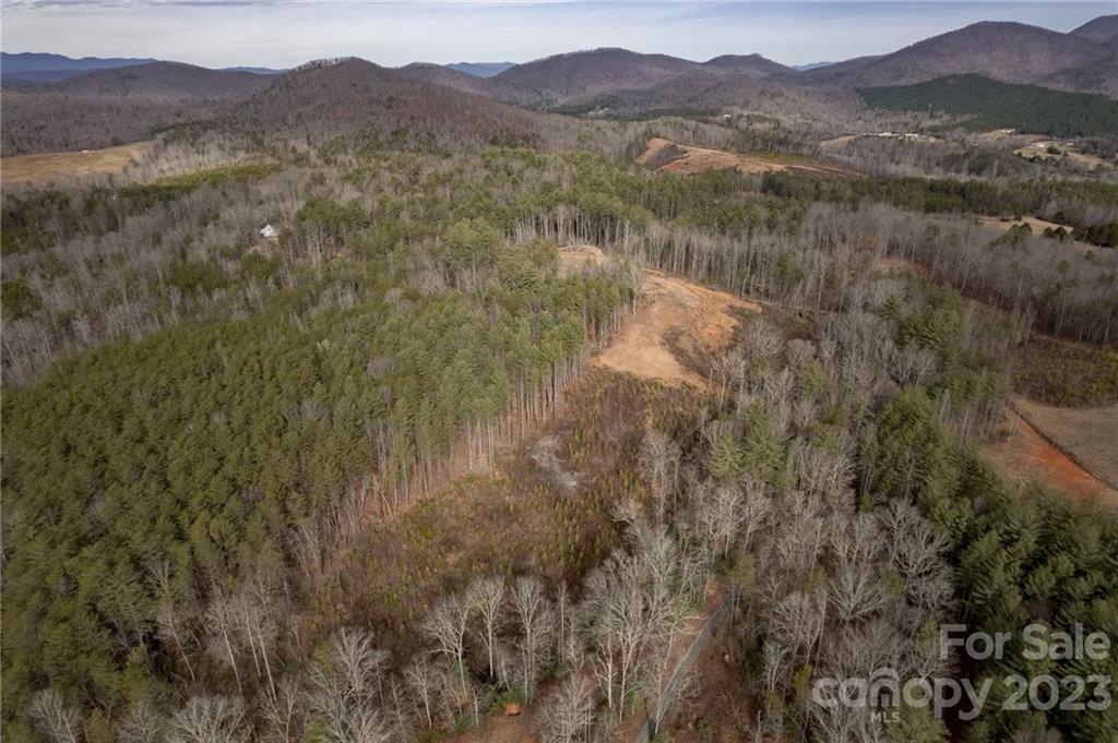 Lot 1 Smawley Road Bostic, NC 28018 - Photo 8 of 22 Gallery Image 8