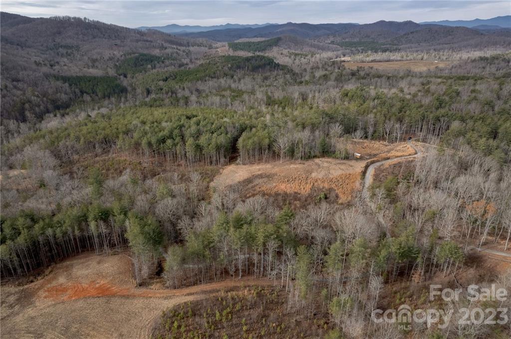 Lot 1 Smawley Road Bostic, NC 28018 - Photo 9 of 22 Gallery Image 9