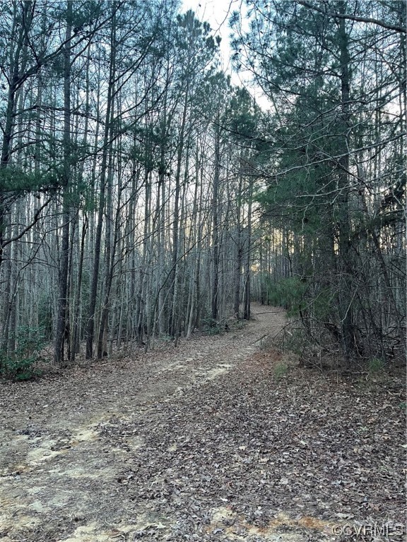 Tbd / Lot 1 Tbd / Road Providence Forge, VA 23140 - Photo 2 of 9 Gallery Image 2