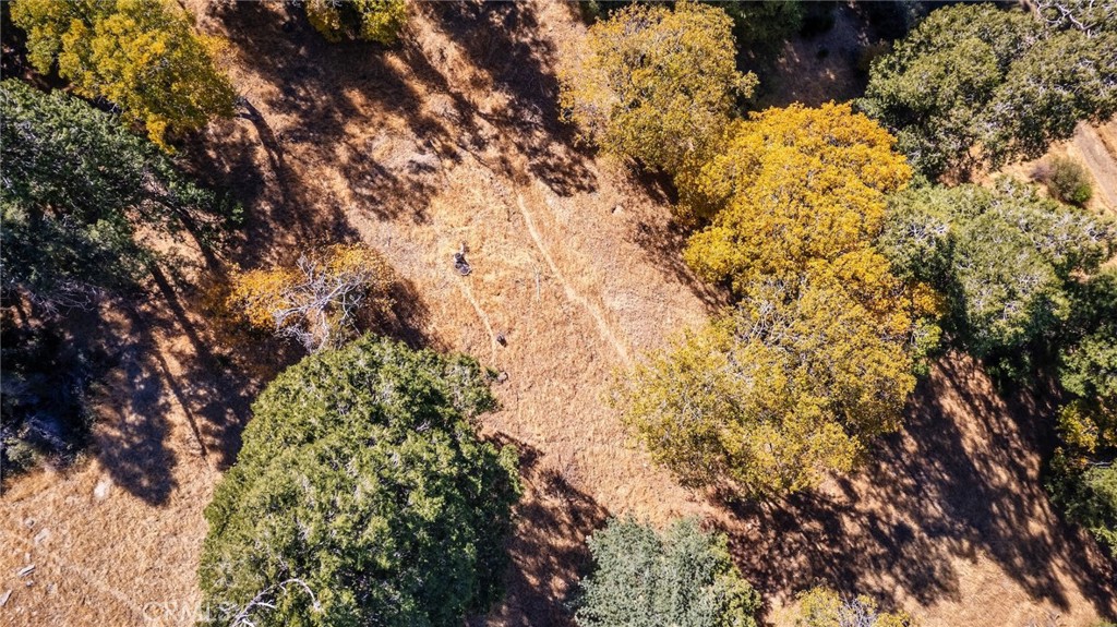 0 Mojave Road Cedarpines Park, CA 92322 - Photo 18 of 41