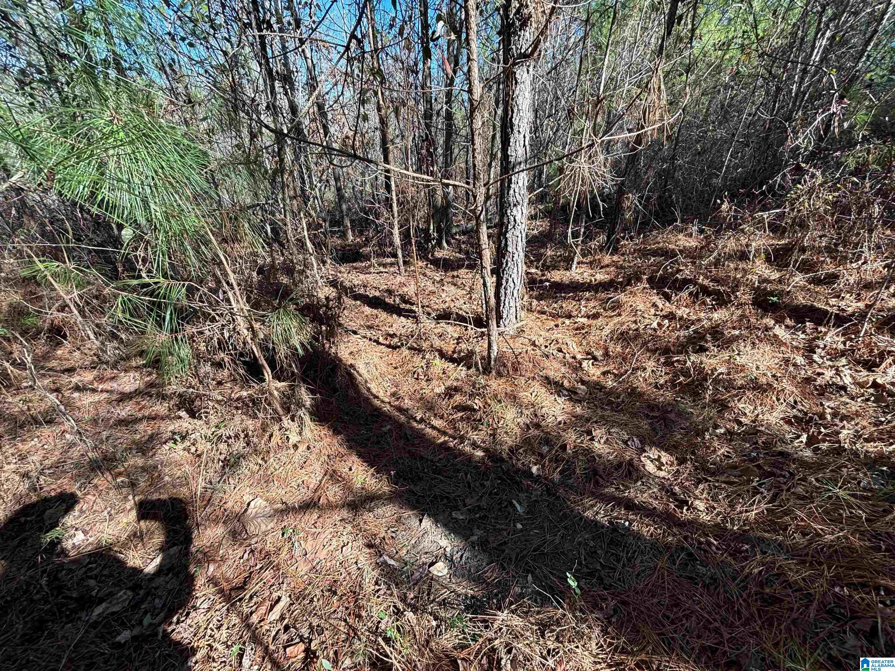 7380 Narrows Road, Unit 148 / ACRES Pinson, AL 35126 - Photo 15 of 22