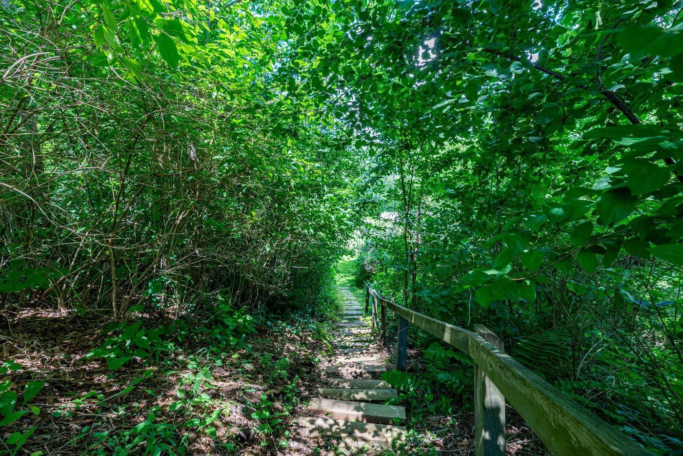 674 Dorset Hollow Road Dorset, VT 05251 - Photo 34 of 40