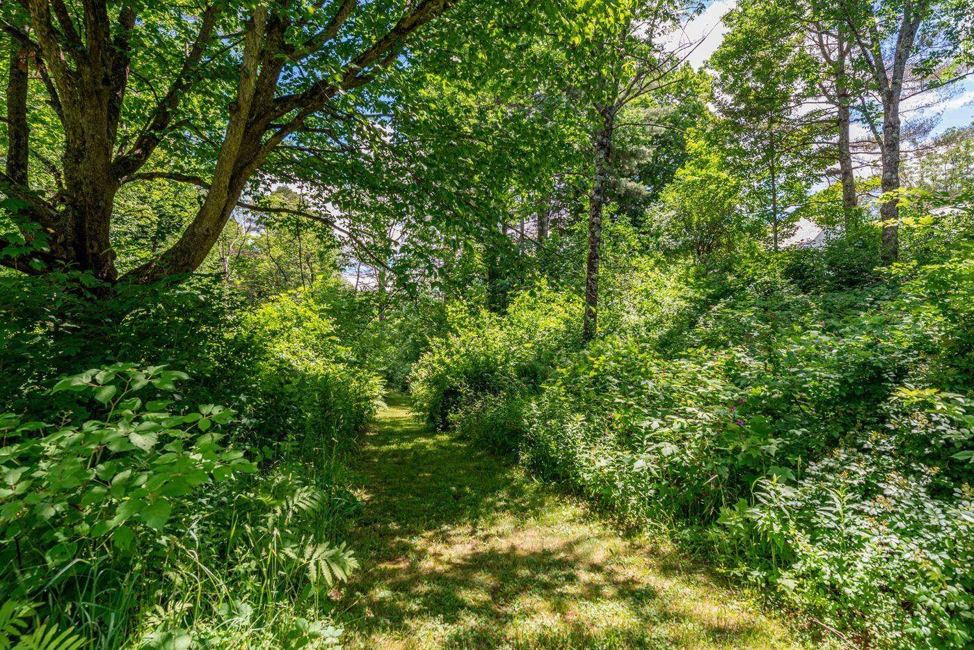 674 Dorset Hollow Road Dorset, VT 05251 - Photo 7 of 40