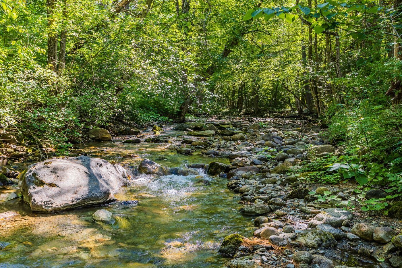 674 Dorset Hollow Road Dorset, VT 05251 - Photo 8 of 40