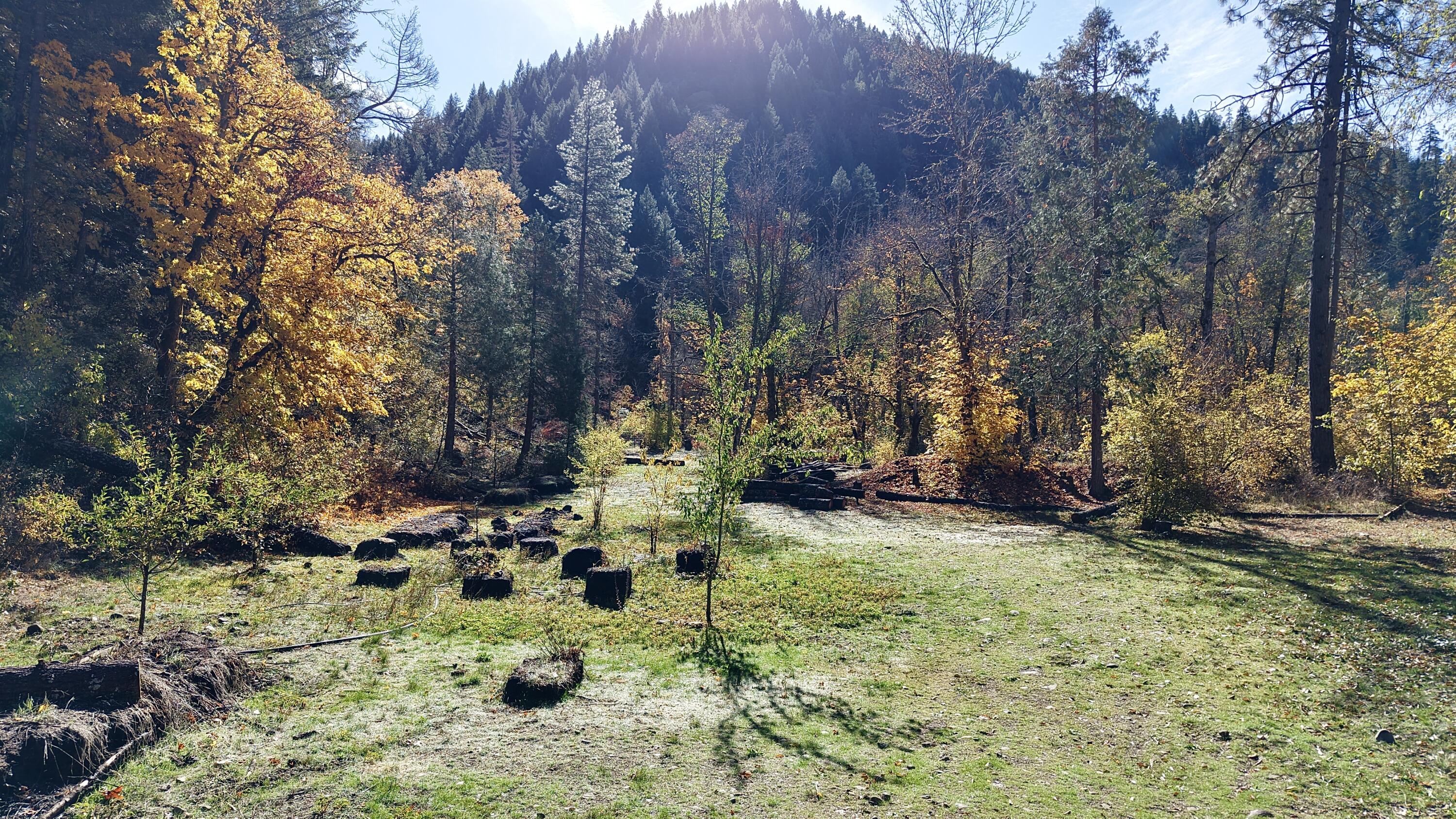 52 Dodes Creek Road Trail, OR 97541 - Photo 82 of 110 Acreage
