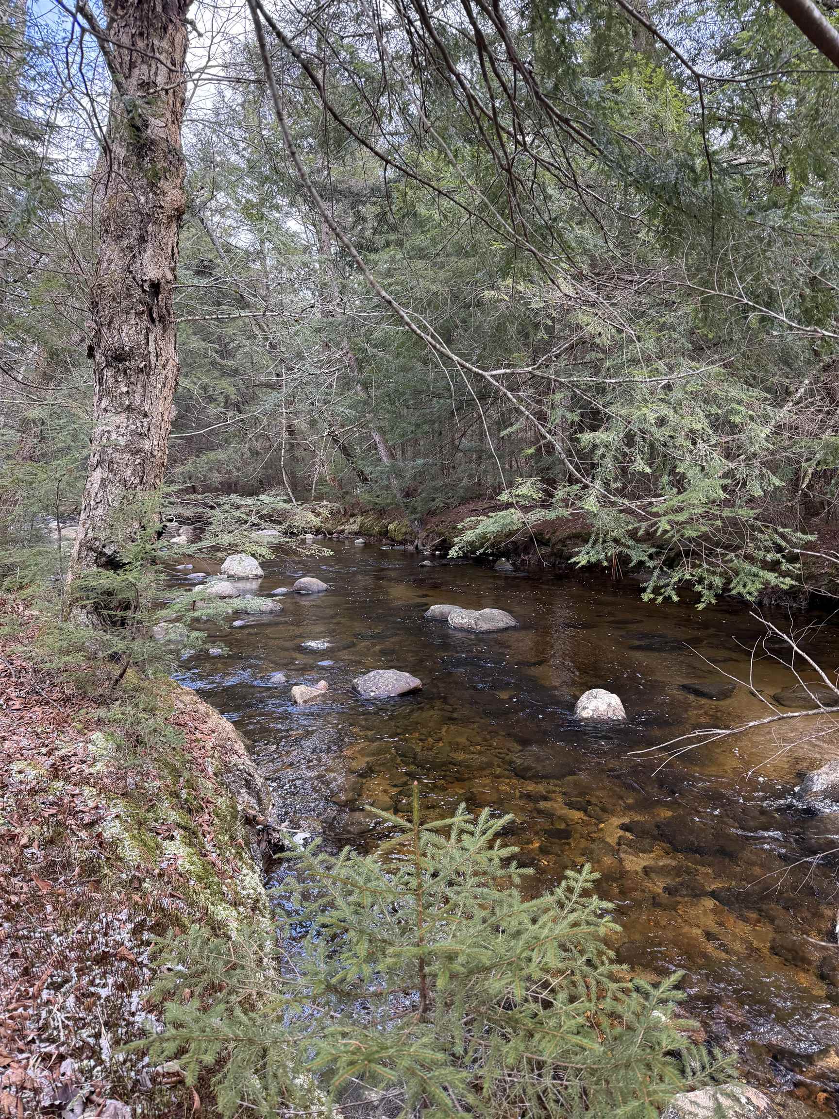 0 Easton Valley Road Easton, NH 03580 - Photo 4 of 6
