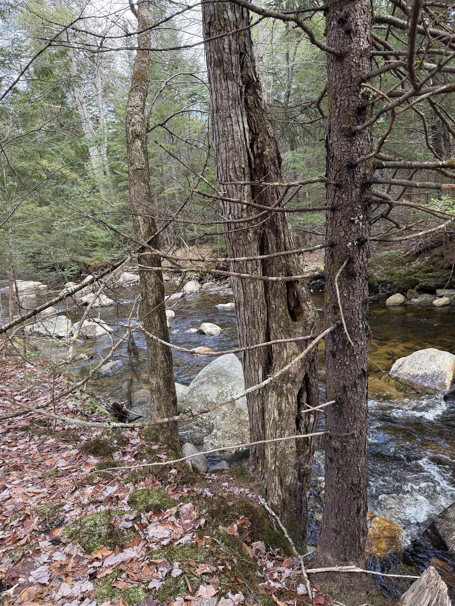0 Easton Valley Road Easton, NH 03580 - Photo 5 of 6