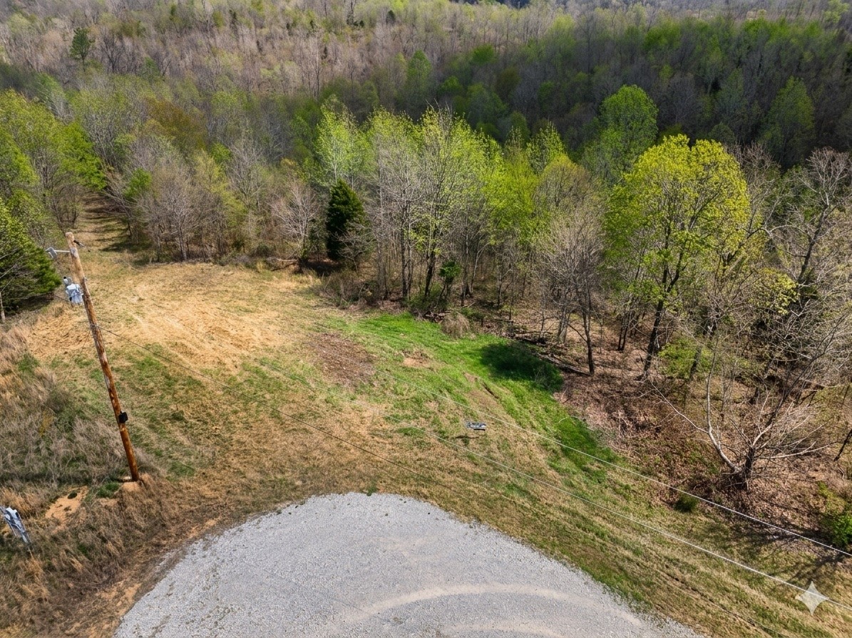 0 Topside Drive Dover, TN 37058 - Photo 11 of 31 a view of a yard with plants