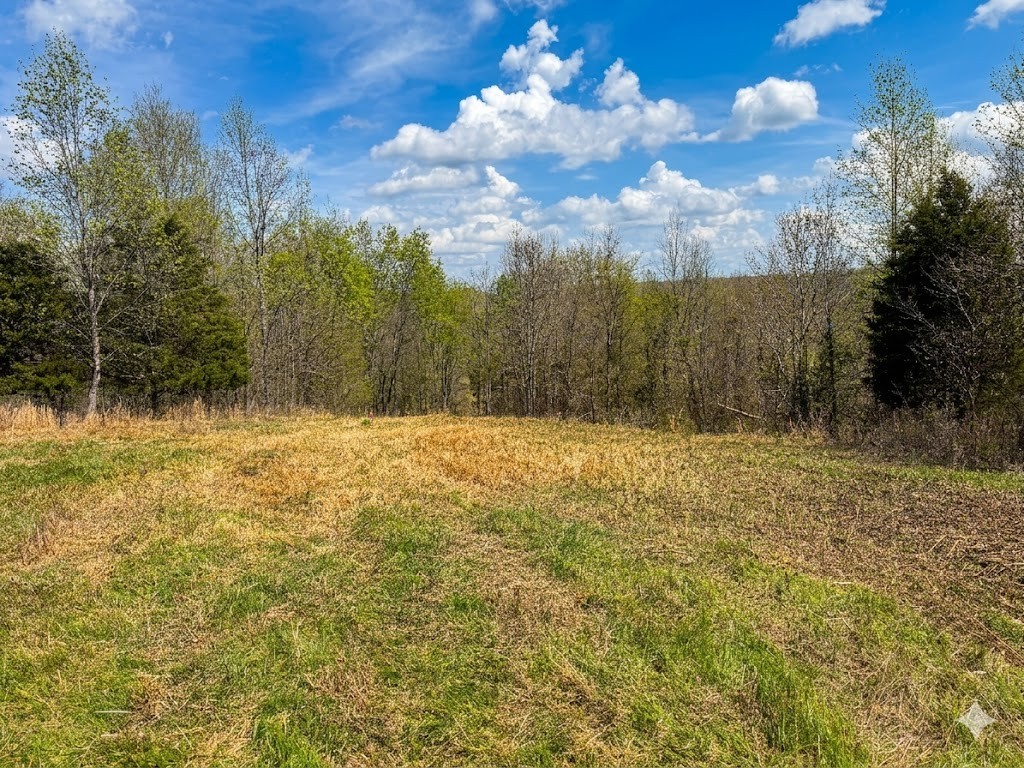 0 Topside Drive Dover, TN 37058 - Photo 13 of 31 a view of a yard