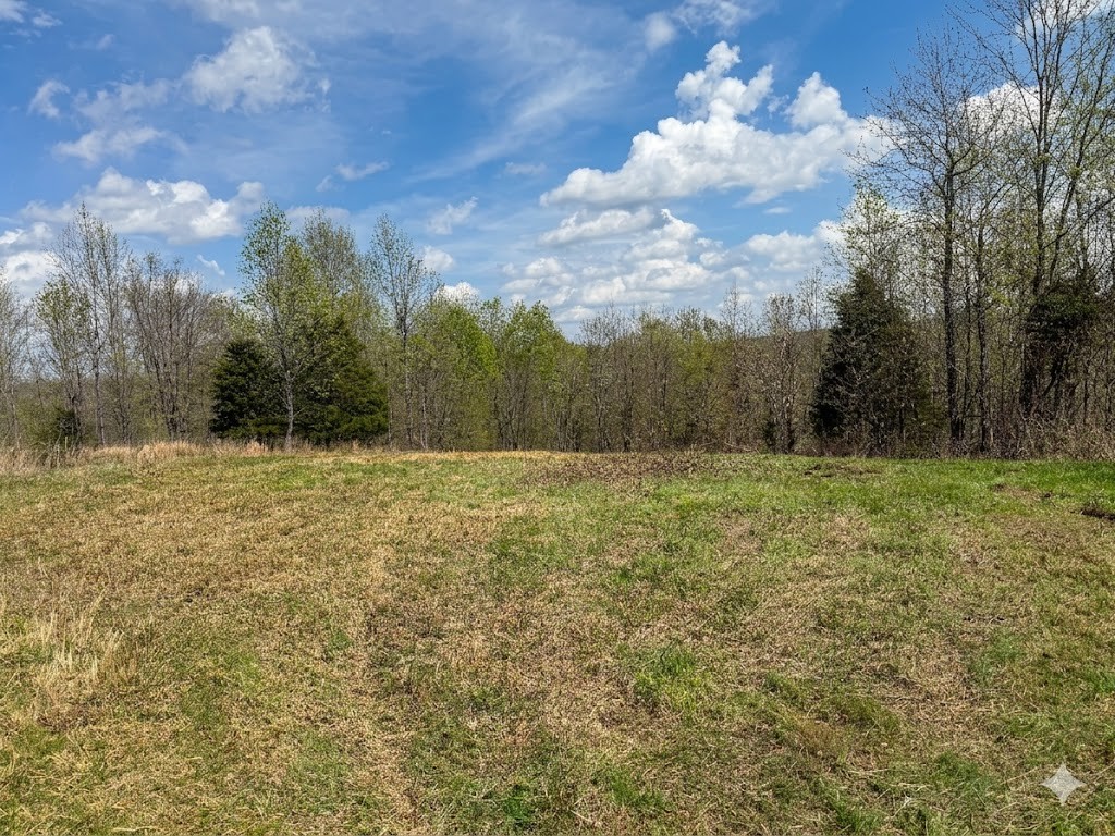 0 Topside Drive Dover, TN 37058 - Photo 14 of 31 a view of a field with a tree in the background