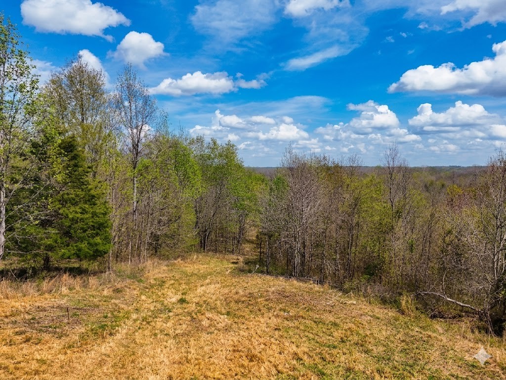 0 Topside Drive Dover, TN 37058 - Photo 15 of 31 a view of a yard