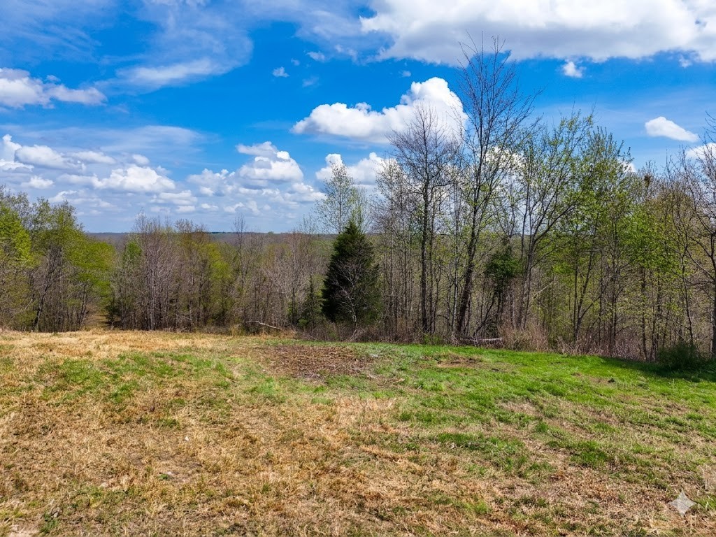0 Topside Drive Dover, TN 37058 - Photo 16 of 31 a view of a backyard