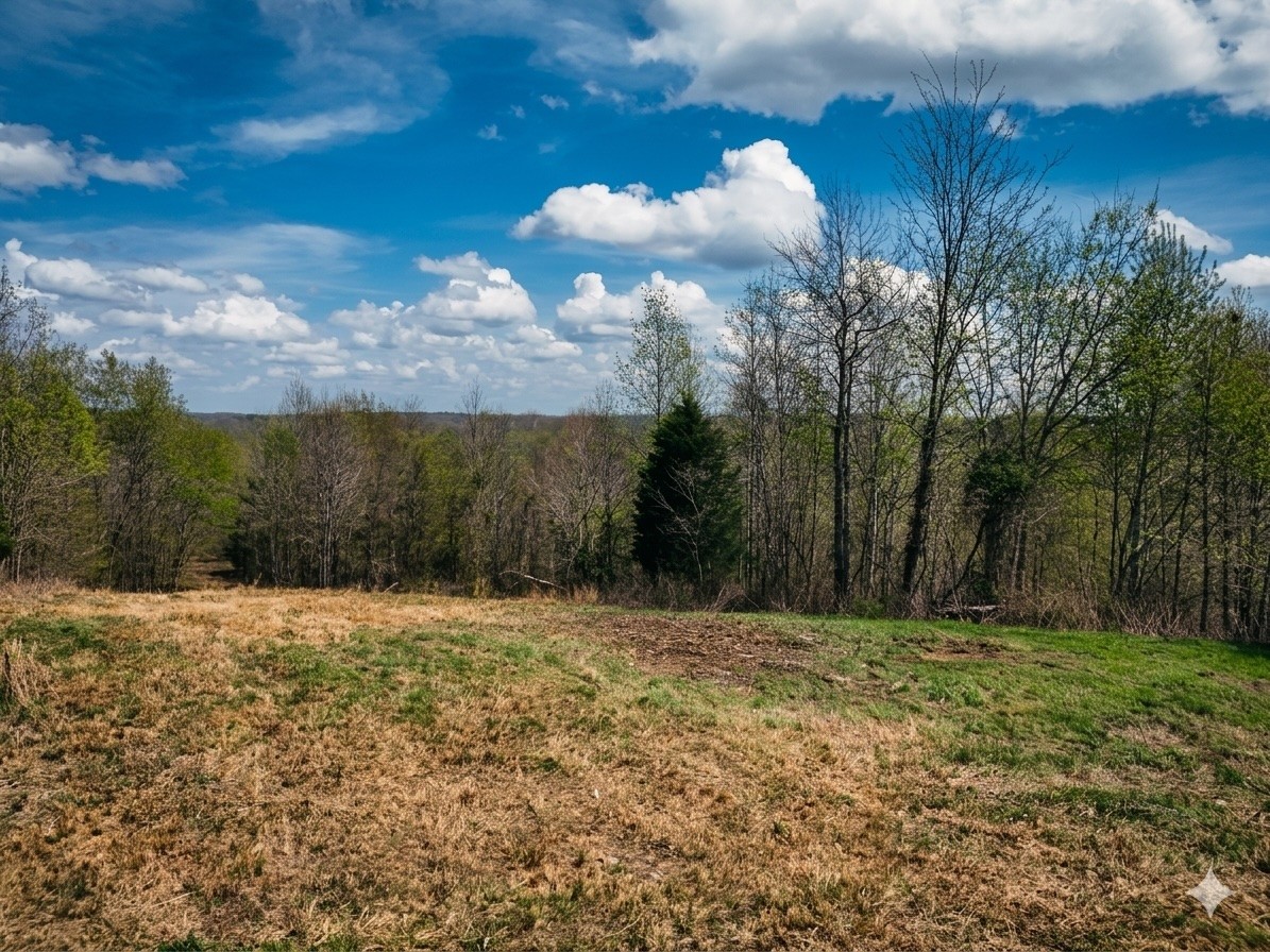 0 Topside Drive Dover, TN 37058 - Photo 2 of 31 a view of basketball court