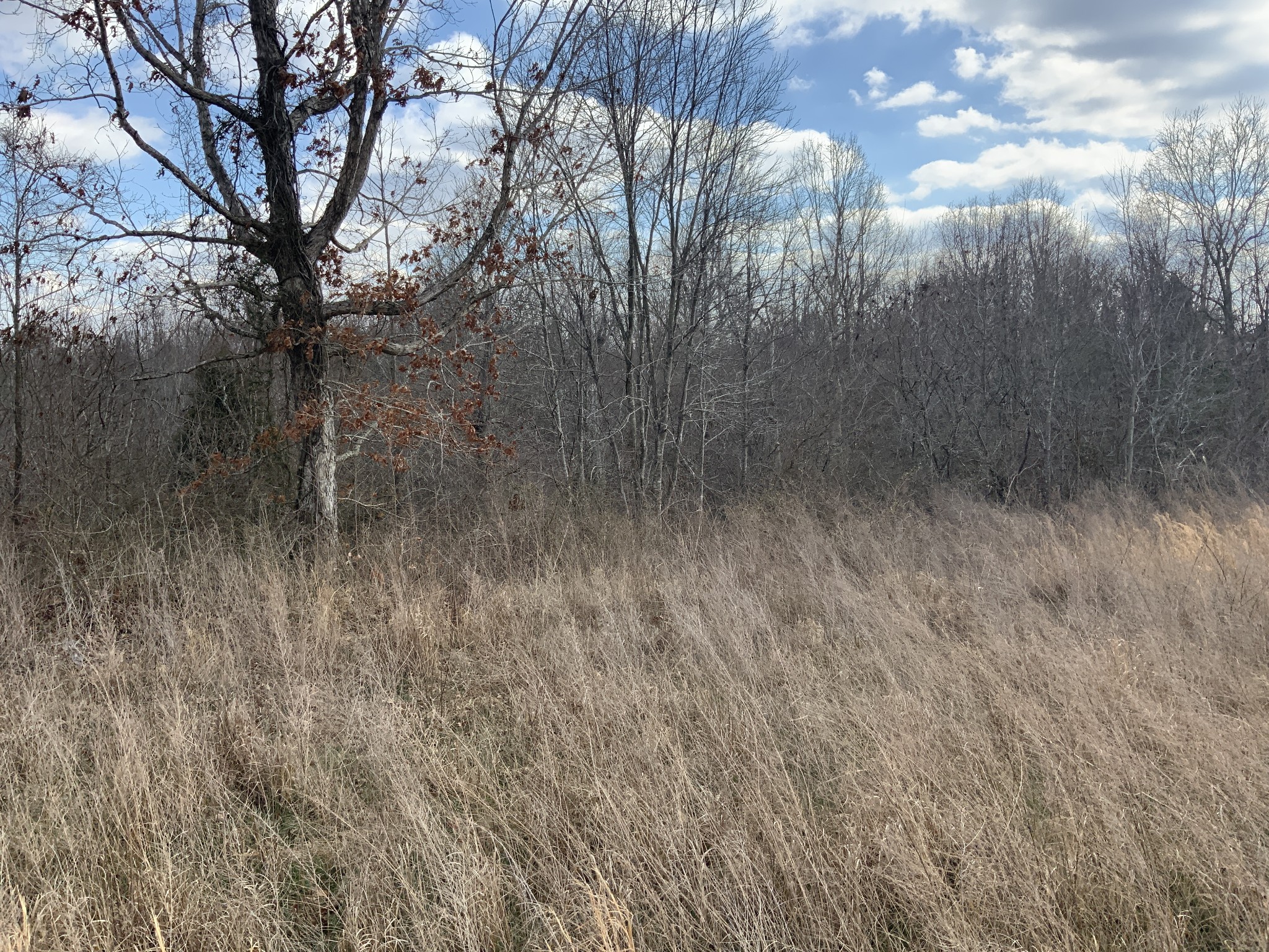0 Topside Drive Dover, TN 37058 - Photo 24 of 31 a view of a yard