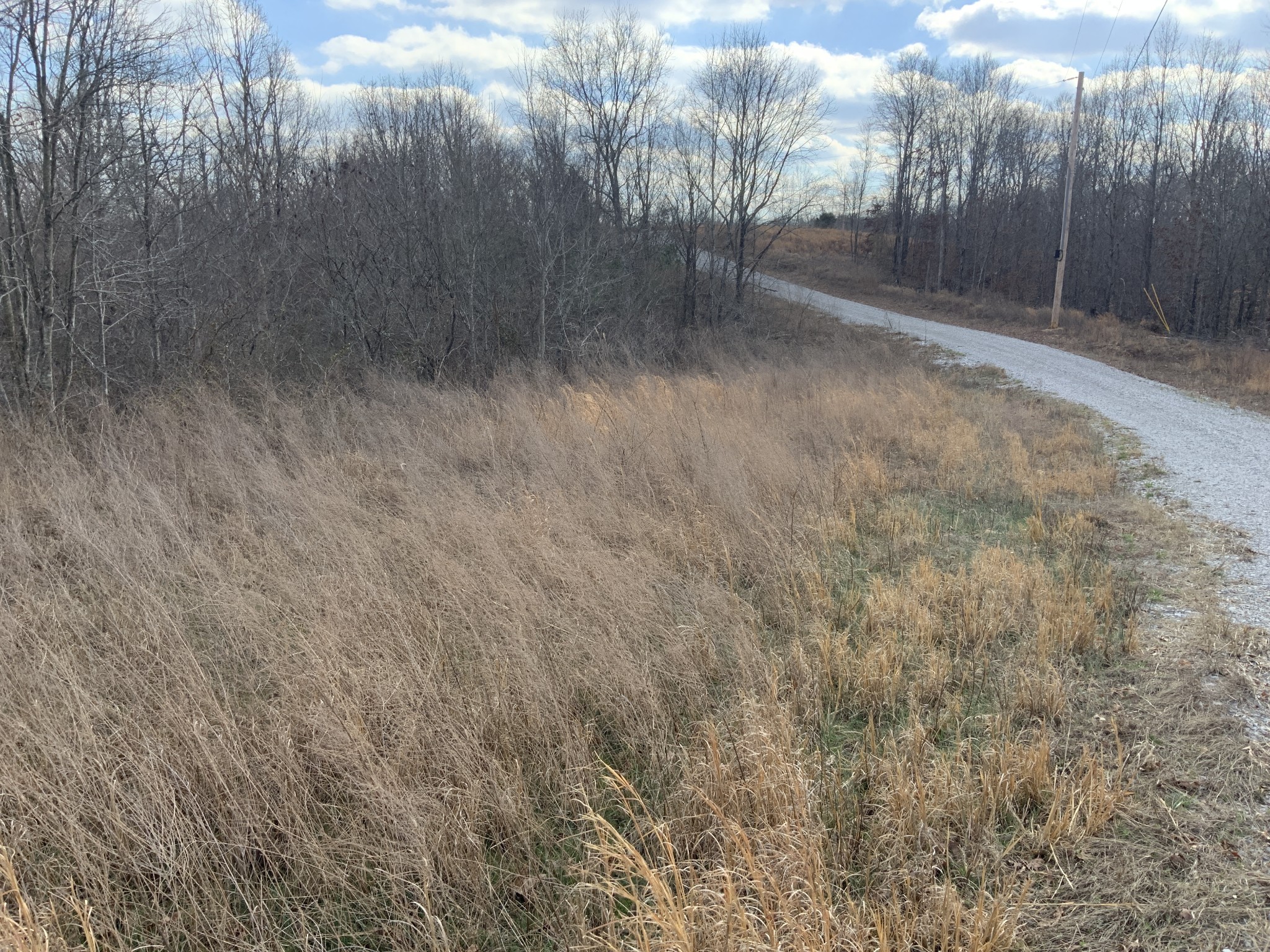 0 Topside Drive Dover, TN 37058 - Photo 25 of 31 a view of a yard