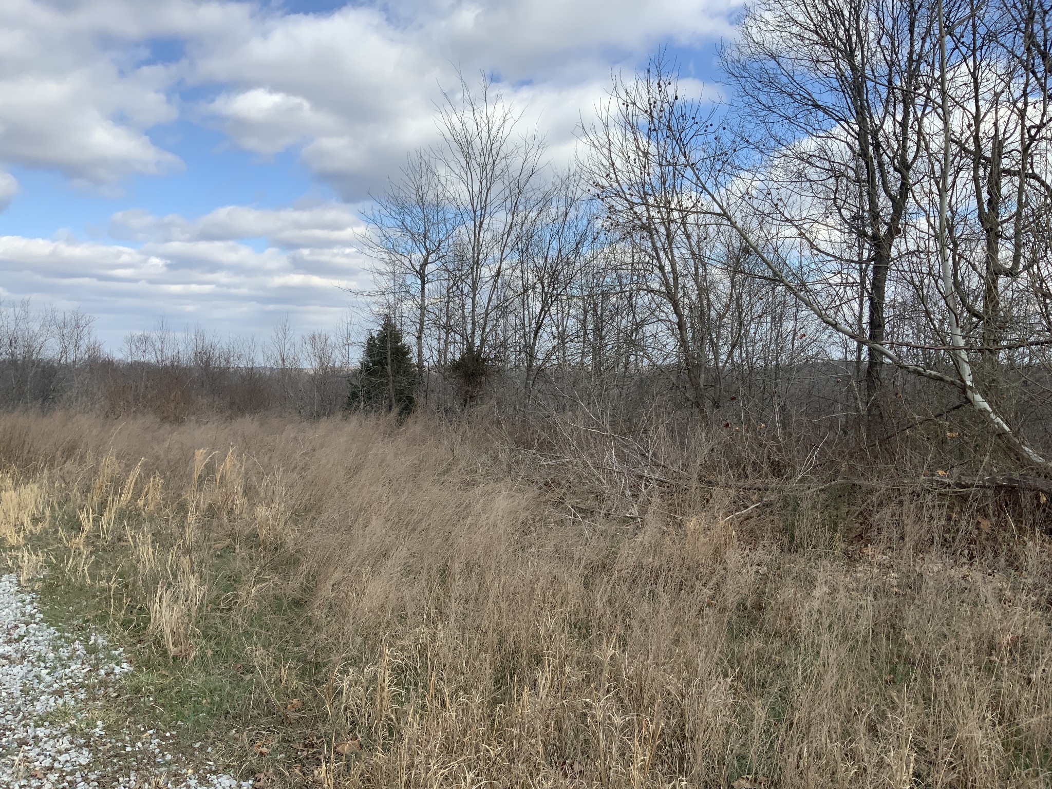 0 Topside Drive Dover, TN 37058 - Photo 26 of 31 a view of a yard next to a lake