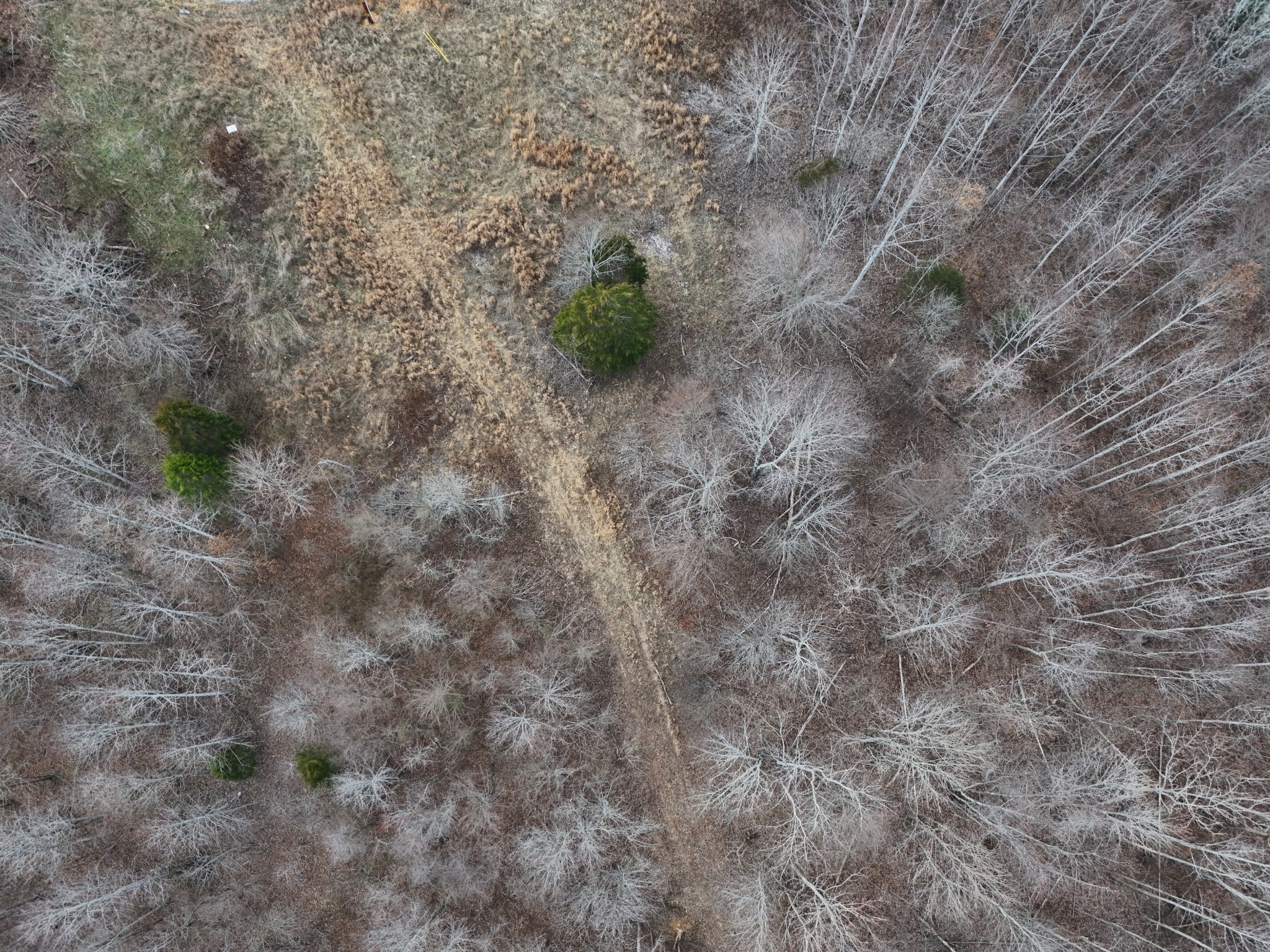 0 Topside Drive Dover, TN 37058 - Photo 27 of 31