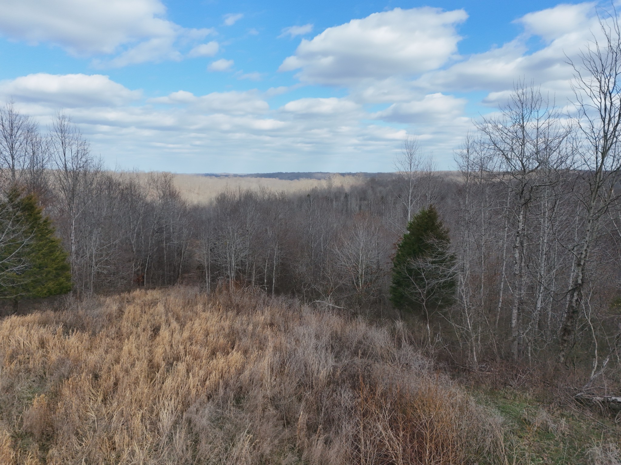 0 Topside Drive Dover, TN 37058 - Photo 28 of 31 a view of a yard