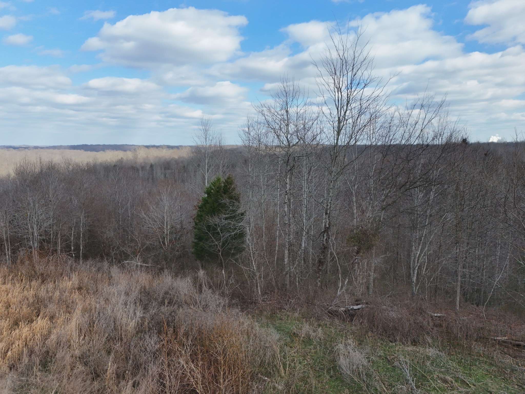 0 Topside Drive Dover, TN 37058 - Photo 29 of 31 a view of a dry yard with wooden fence