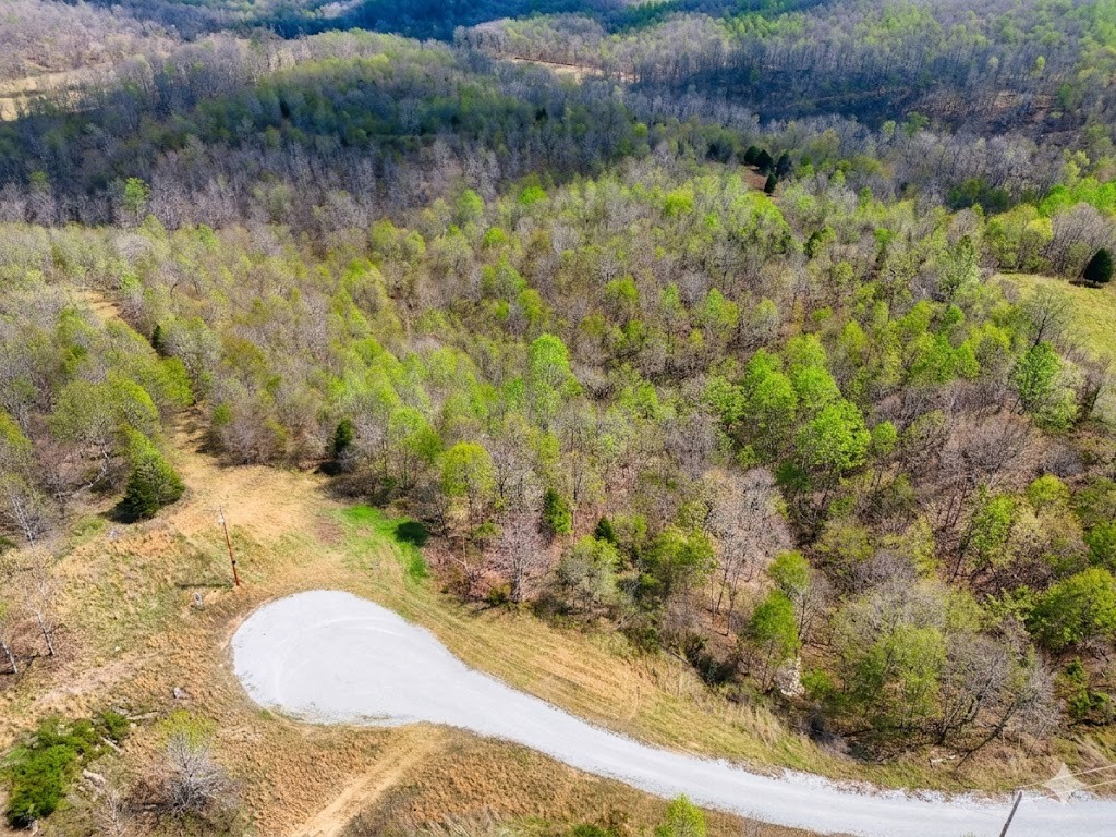 0 Topside Drive Dover, TN 37058 - Photo 3 of 31 a view of a backyard of a house