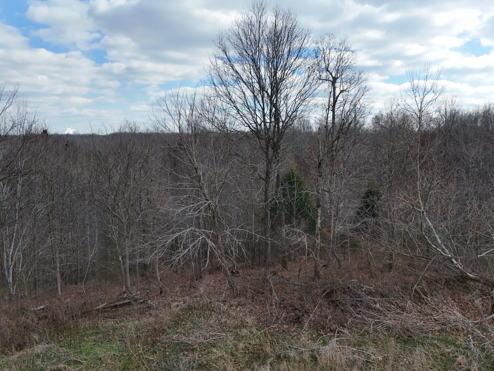 0 Topside Drive Dover, TN 37058 - Photo 31 of 31 a view of a yard