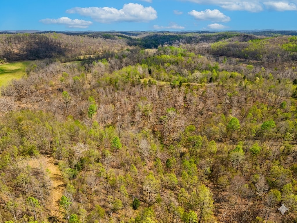 0 Topside Drive Dover, TN 37058 - Photo 4 of 31 a view of a lake from a yard