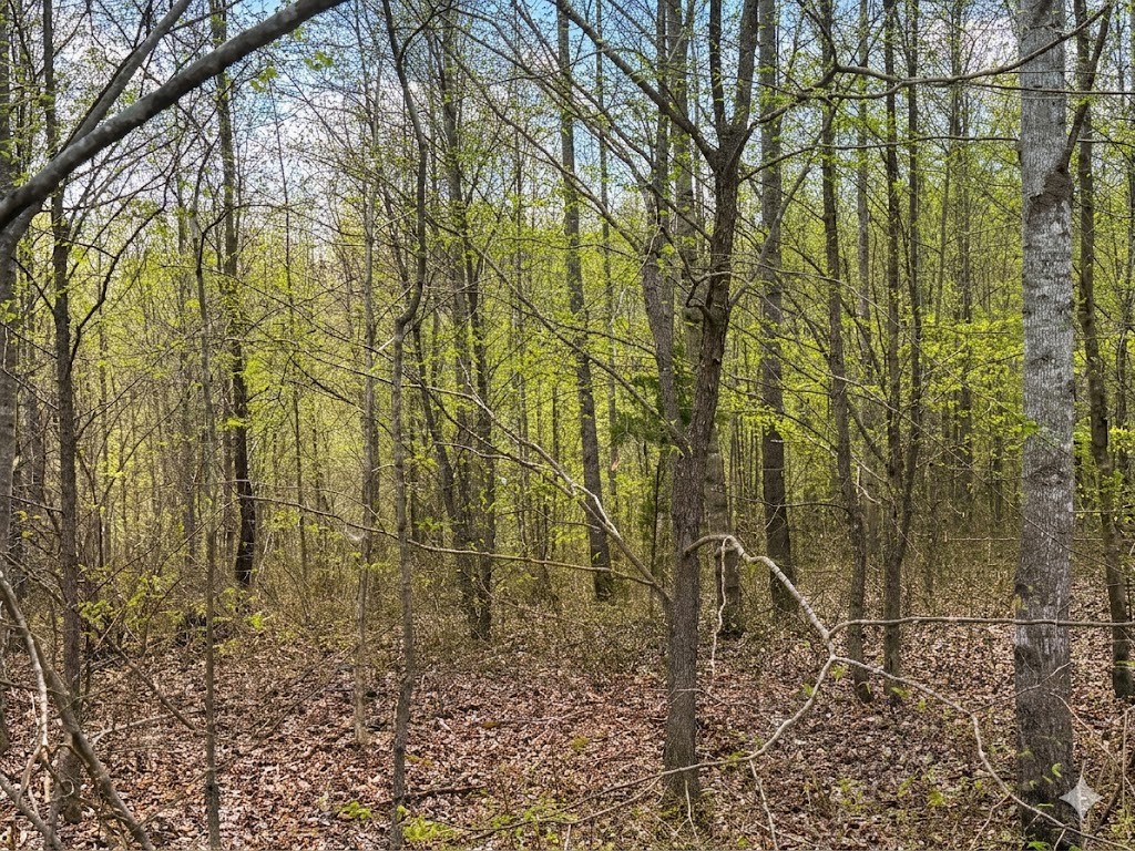 0 Topside Drive Dover, TN 37058 - Photo 5 of 31 a picture of a yard
