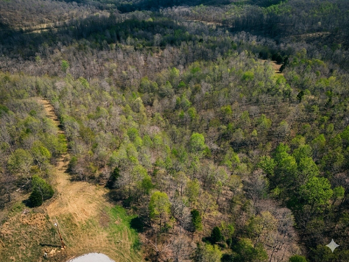 0 Topside Drive Dover, TN 37058 - Photo 6 of 31 a view of a forest with a lake