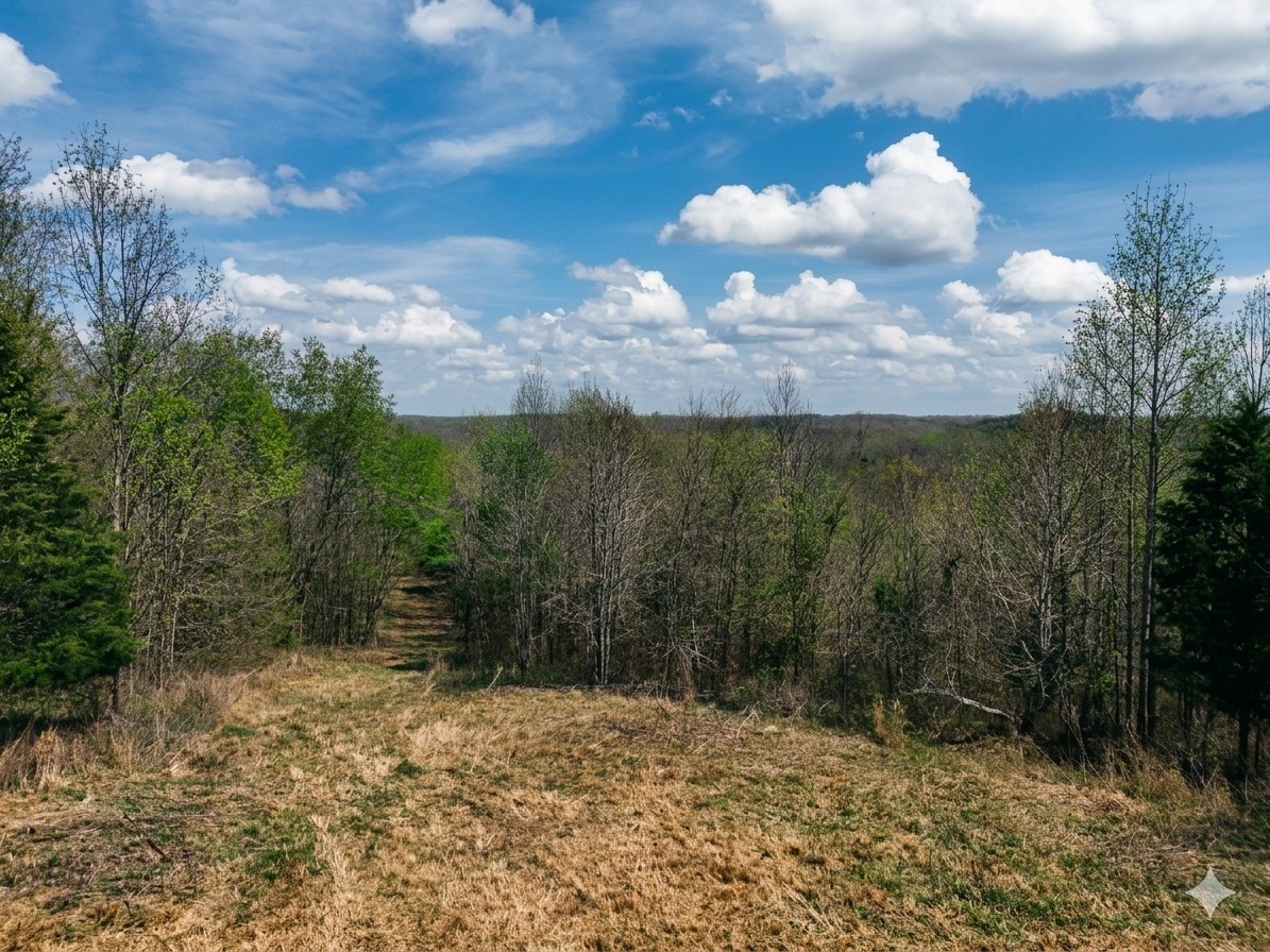 0 Topside Drive Dover, TN 37058 - Photo 8 of 31 a view of a yard with a tree
