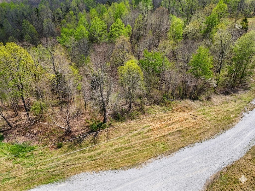 0 Topside Drive Dover, TN 37058 - Photo 10 of 31 a view of a yard