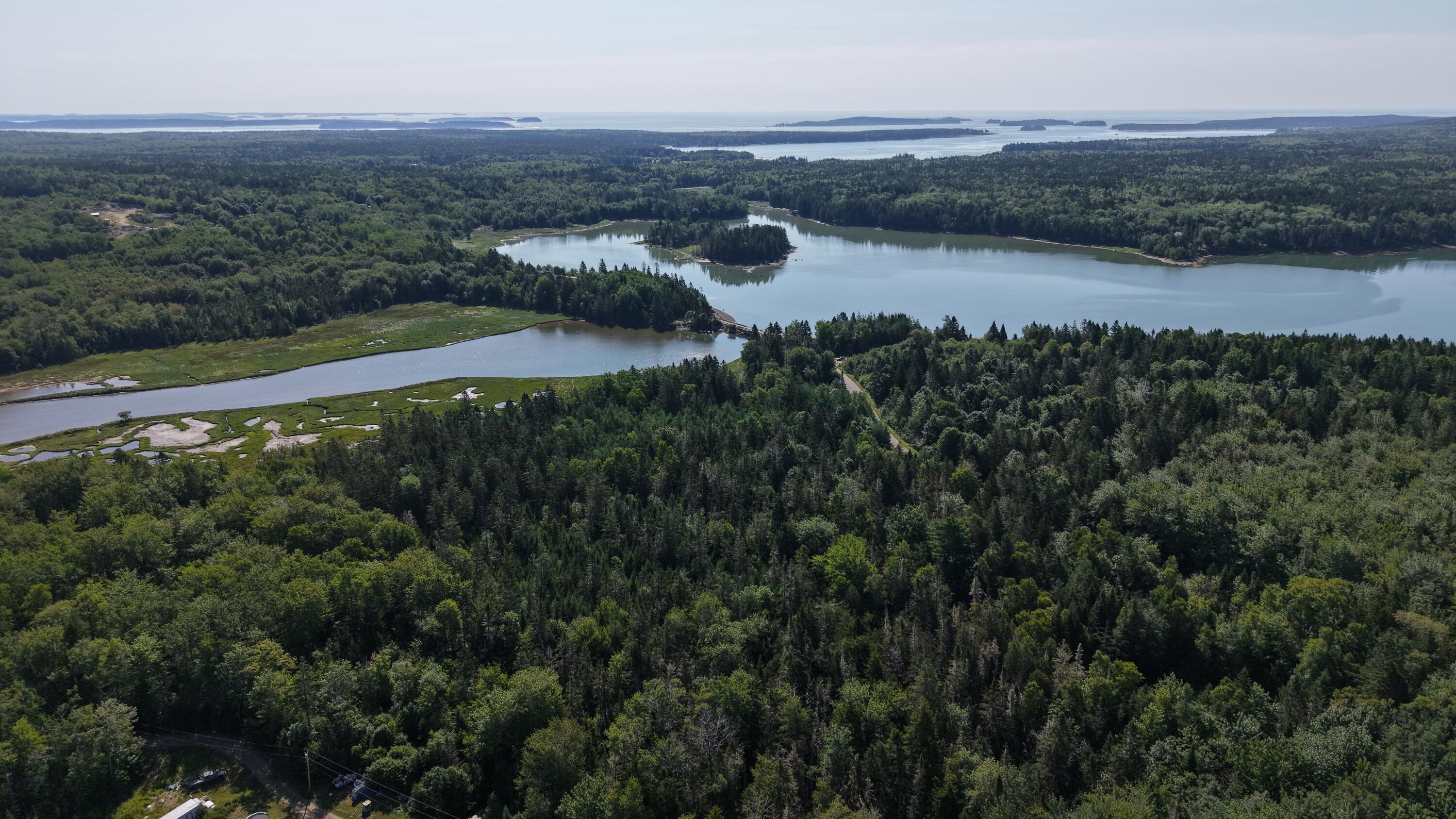 Lot 54 Pinkham Bay Bridge Road Steuben, ME 04680 - Photo 1 of 9 Left