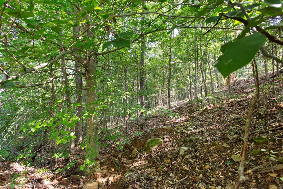 Lot 17 Sunset Ridge/ Paramount Drive Seneca, SC 29678 - Photo 5 of 19 Gallery Image 5