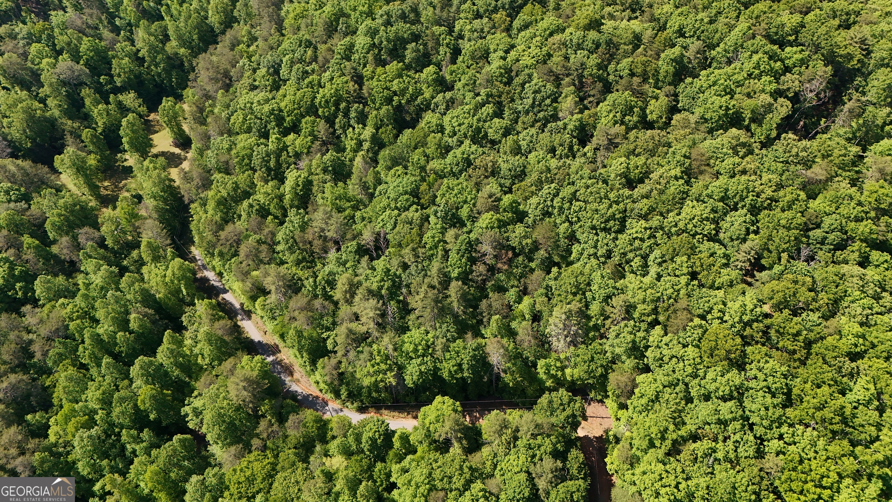 0 Gold Springs Road Ellijay, GA 30540 - Photo 8 of 13