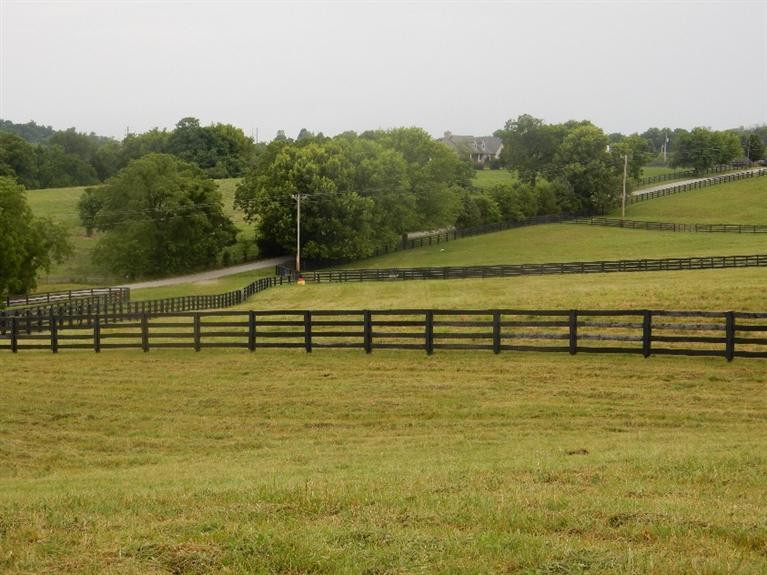 1084 Hifner Road Versailles, KY 40383 - Photo 6 of 22 Photo 6