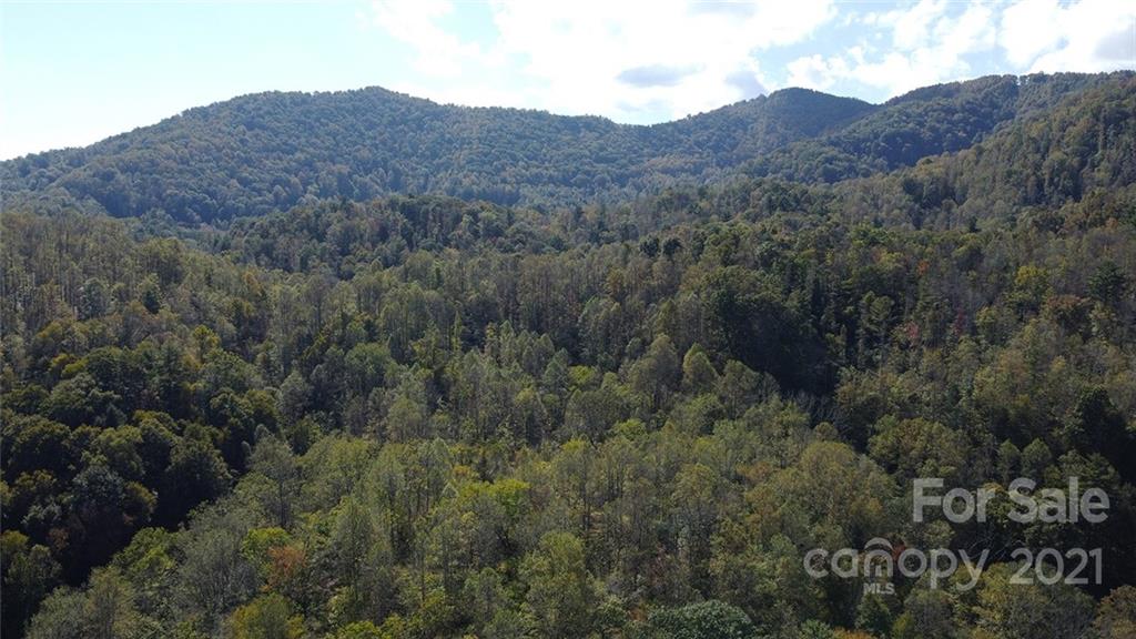 980 Anderson Branch Road Marshall, NC 28753 - Photo 11 of 18 a view of a mountain in the distance in a field
