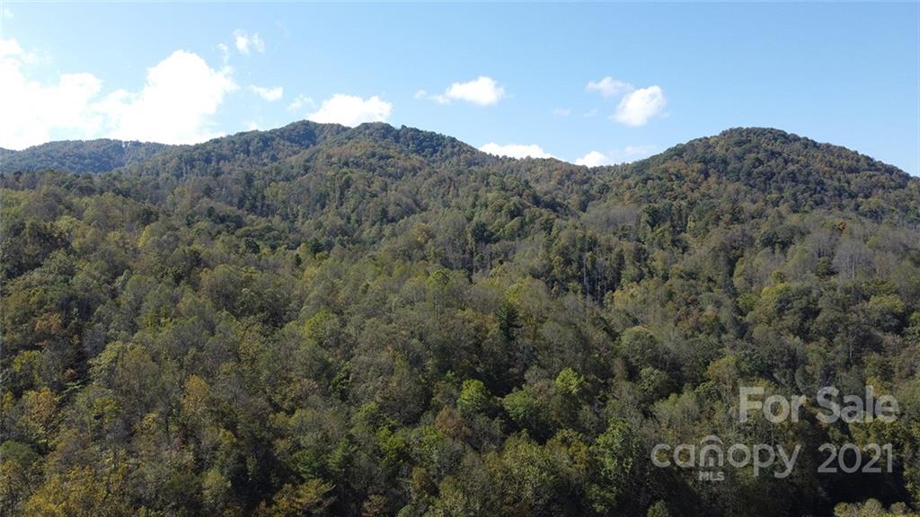 980 Anderson Branch Road Marshall, NC 28753 - Photo 13 of 18 a view of a mountain range with trees in the background