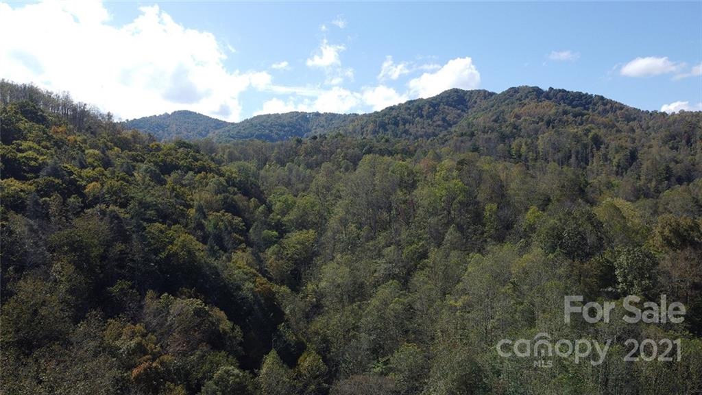 980 Anderson Branch Road Marshall, NC 28753 - Photo 15 of 18 a view of a mountain in the distance