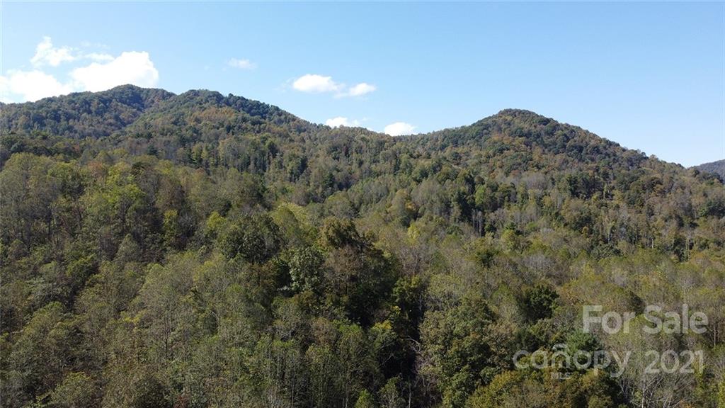 980 Anderson Branch Road Marshall, NC 28753 - Photo 16 of 18 a view of a mountain range with trees in the background