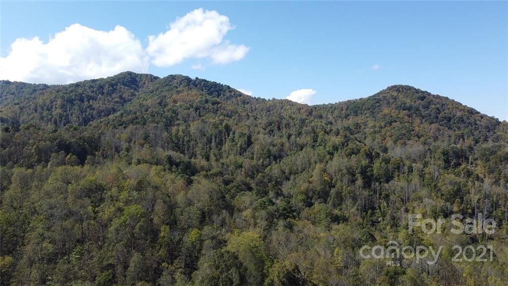 980 Anderson Branch Road Marshall, NC 28753 - Photo 3 of 18 a view of a mountain range with trees in the background