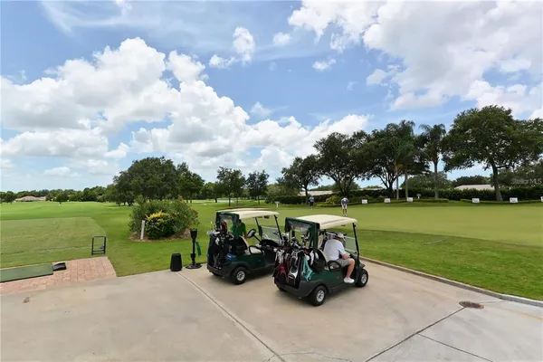 a view of a park with large trees