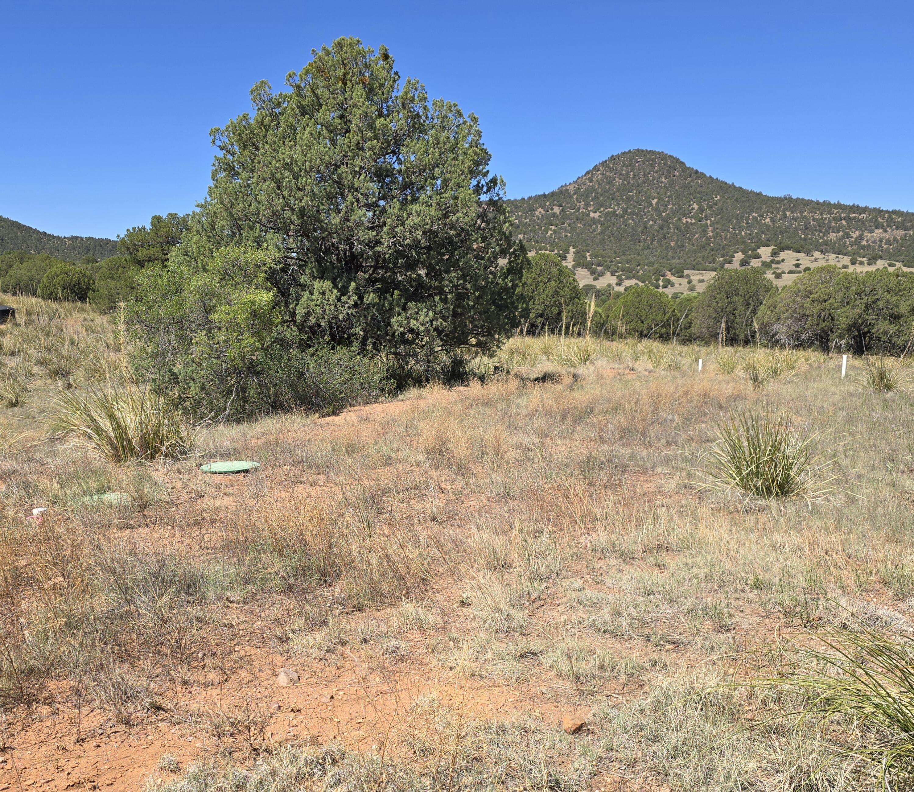410 Rolling Hills Road Young, AZ 85554 - Photo 5 of 8