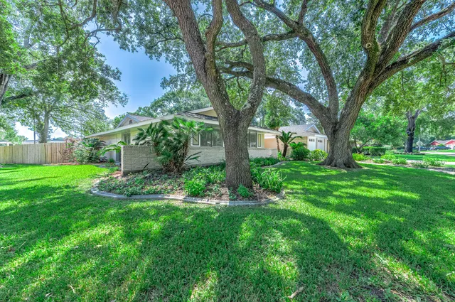 a view of a garden with pathway