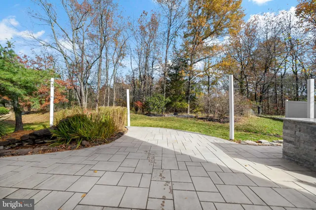a view of a park with large trees